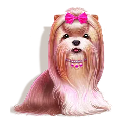 Pink Dog