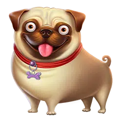 Pug