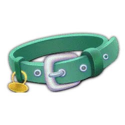 Collar
